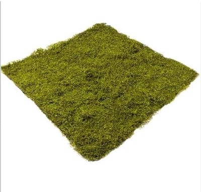 Kunstmos Muur Decor - Groen Gras Paneel - Ruimte Verfraaien - Onderhoudsarm Ontwerp - 1 x 1 Meter - Groen