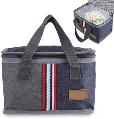 Dailygoods- Koeltas Grote Capaciteit - Draagbare Isolerende Tas - Thermische Tas - Opbergtas - Voor Voedsel - Oxford Stof + Aluminiumfolie - Lunchbox