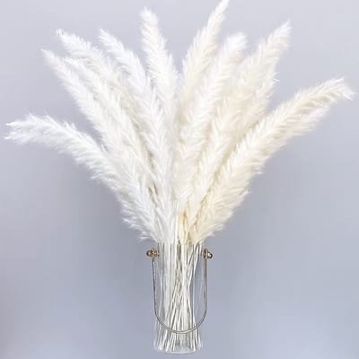 Dailygoods- Pampasgras 30 stuks - Gedroogd - 40 cm - Boho Decoratie - Natuurlijke Pluimen - Niet-giftig - Gedroogde Bloemen