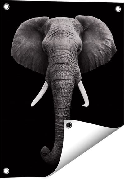 Gards Tuinposter Olifantenkop - Olifant - Zwart Wit - 40x50 cm - Tuindoek - Tuindecoratie - Wanddecoratie buiten - Tuinschilderij