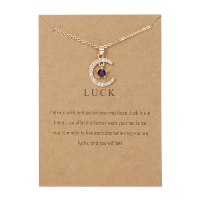 Geboortesteen Ketting Februari met Zirkonia Kristal - Goudkleurig met Paars - Cadeau / Geluk Hanger - Pax Amare