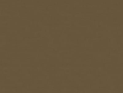 Zambaiti Vinylbehang Z54516 - Fuksas - Uni Taupe - 70cm x 10.05m