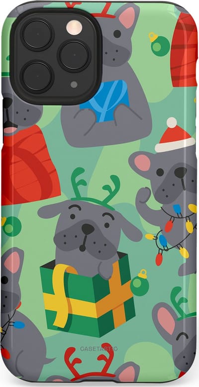 Casetastic hoesje geschikt voor Apple iPhone 11 Pro - Dubbellaagse bescherming - Hondje als Kerstcadeau - Fashion Case - Mintgroen Grijs Rood