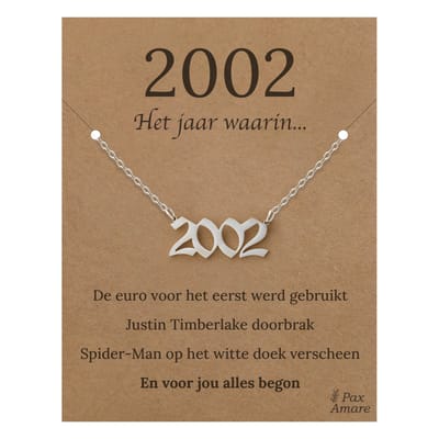 Jaartal 2002 Ketting op Cadeau Kaartje - Zilverkleurig Stainless Steel - 45cm - Met informatie over geboortejaar - Pax Amare
