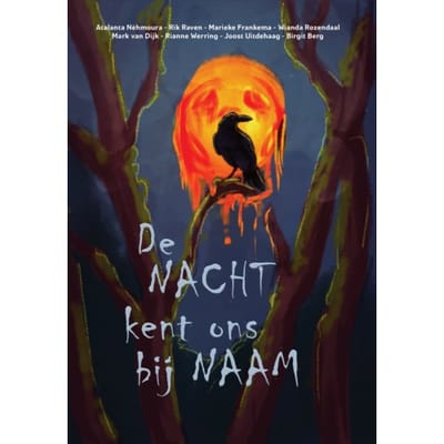 De Nacht Kent Ons Bij Naam - Mark van Dijk