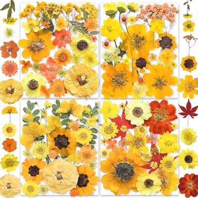 34 Soorten Gedroogde Geperste Bloemen voor DIY Sieraden en Crafting - Perfect voor Kaarsen, Zeep, en Decoratie
