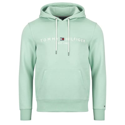 Capuchon sweaters Tommy Hilfiger TOMMY LOGO HOODY