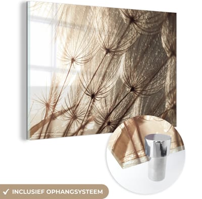 MuchoWow® Glasschilderij 150x100 cm - Schilderij acrylglas - Bloemen - Planten - Winter - Sepia - Sneeuw - Foto op glas - Schilderijen