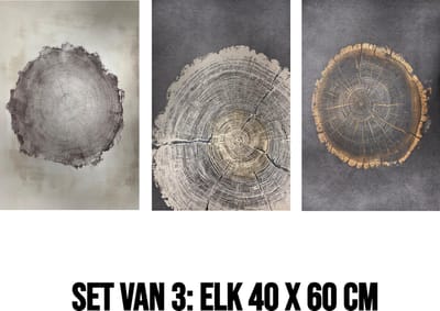 Allernieuwste.nl® 3-Luik Canvas Schilderij Boomringen – 40 x 60 cm – Natuur - Houtstructuur Muurdecoratie Set – Wanddecoratie – Posters