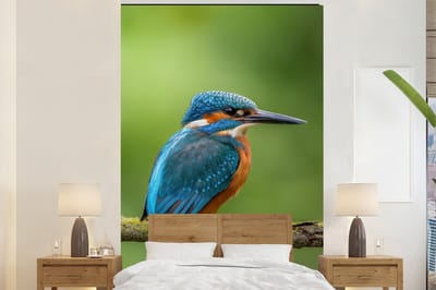 Behang - Fotobehang IJsvogel - Tak - Mos - Vogel - Groen - Breedte 145 cm x hoogte 220 cm