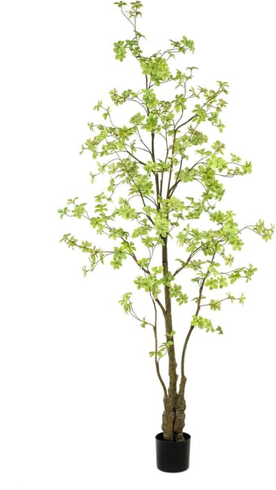Emerald - Kunstboom Tropaeolum 245cm - Kunstplant voor binnen - Tropaeolum plant - Oost Indische kers