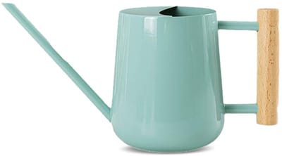 Gieter, roestvrij staal metaal mini kleine 1000ml gieter met lange tuit en houten handvat voor kamerplanten, bonsai, buiten tuin bloemen - blauw
