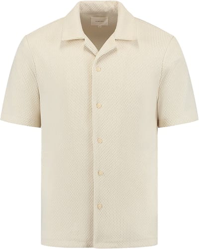 Pure Path Regular Fit Shortsleeve Shirts