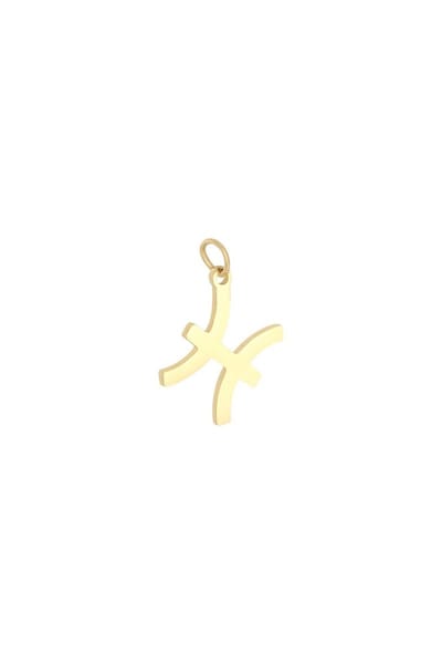 Hanger - sterrenbeeld - stainless steel - kado - kerst