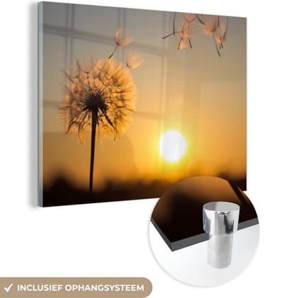 MuchoWow® Glasschilderij 40x30 cm - Schilderij acrylglas - Paardenbloem - Zon - Zonsondergang - Foto op glas - Schilderijen
