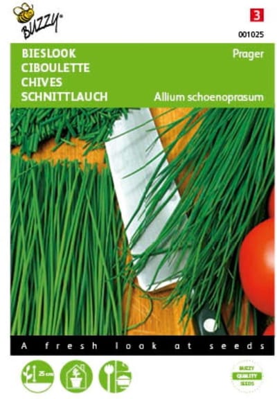 2 stuks Bieslook fijne Prager (Allium schoenoprasum)