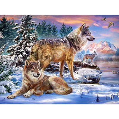 Diamond Painting Wolf Volledige Ronde Strass Afbeelding Diamant Borduurwerk 20X30CM black