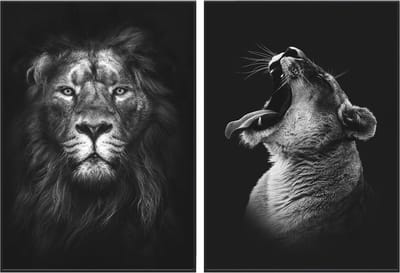 Zwart/wit posters - Dieren - 2 stuks - 50x70 cm - Leeuw & Leeuwin