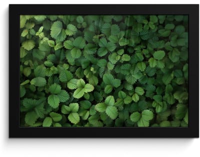 Poster in lijst - Fotolijst 30x20 cm - Posters - Groen - Bladeren - Kartel - Zonlicht - Posterlijst zwart - Decoratie - Wanddecoratie woonkamer - Muurdecoratie slaapkamer
