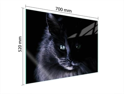 TMK ArtDeko - Series - Glazen Beschermplaat - 70x52 cm - Kat