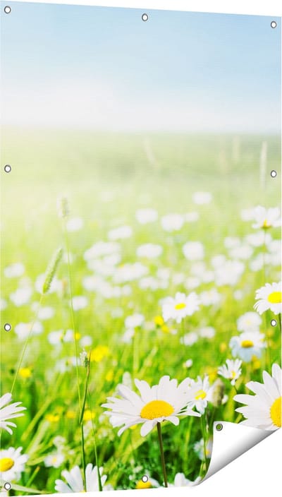 Gards Tuinposter Bloemenveld van Madeliefjes - Bloemen - 80x120 cm - Tuindoek - Tuindecoratie - Wanddecoratie buiten - Tuinschilderij