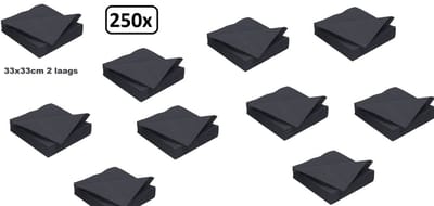250x Servet 33cm 2 laags zwart - Halloween | Horror | servetten | diner |100% biologisch afbreekbaar |festival |thema feest | restaurant| party