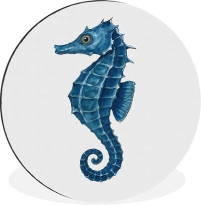WallCircle - Wandcirkel - Muurcirkel - Zeepaardje - Staart - Blauw - Aluminium - Dibond - 30x30 cm - Binnen en Buiten