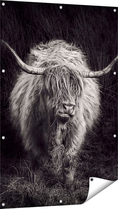 Gards Tuinposter Schotse Hooglander Koe - Zwart Wit - 80x120 cm - Tuindoek - Tuindecoratie - Wanddecoratie buiten - Tuinschilderij