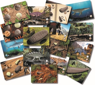 Yellow Door Prehistorische Dino Tanden Explore and Discover Activity Kaarten