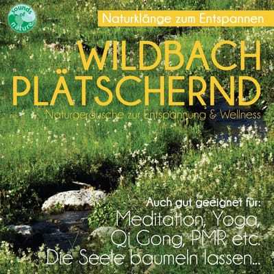 Natuurklank CD - Ontspanning Muziek - Wellness Meditatie - Hoge Geluidskwaliteit - 14 x 12 cm