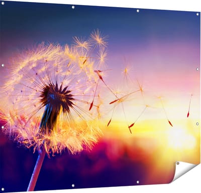 Gards Tuinposter Paardenbloem tijdens Zonsondergang - 150x120 cm - Tuindoek - Tuindecoratie - Wanddecoratie buiten - Tuinschilderij