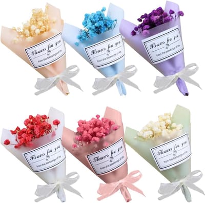 6 pieces natuurlijke gedroogde bloemen - boeketten van kleine gedroogde bloemen - decoratieve gedroogde bloemen voor DIY-frames - huisfeest