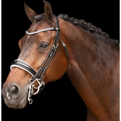 Hoofdstellen Imperial Riding Olympia