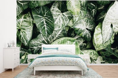 Behang - Fotobehang Bladeren - Planten - Natuur - Breedte 350 cm x hoogte 260 cm