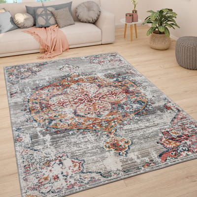 Paco Home Vloerkleed Woonkamer Laagpolig Vintage Pastel Modern Oriëntaals Patroon 60x100 cm