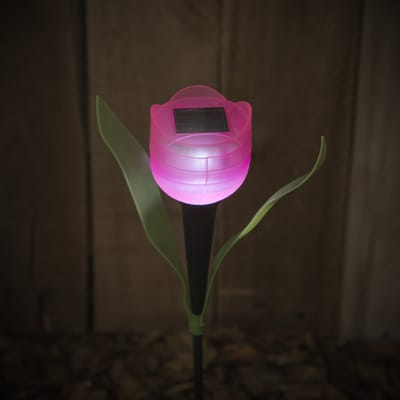 Solar LED Tulp Tuinlamp – Steeklamp Op Zonne-Energie – 30 Cm – 1 LED – Automatisch Aan Bij Schemer – Decoratieve Buitenverlichting Voor Tuin, Pad En Border [11703]