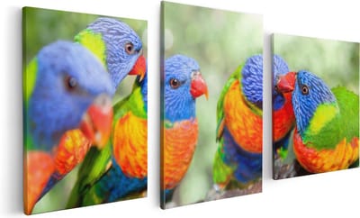 Artaza Canvas Schilderij Drieluik Vier Regenboog Lori Vogels Op Een Tak - 120x60 - Foto Op Canvas - Canvas Print