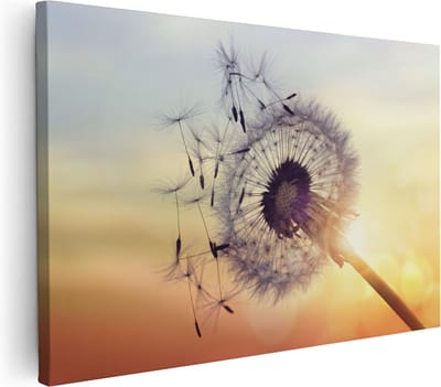 Artaza Canvas Schilderij Paardenbloem Zaadjes - 30x20 cm - Klein - Muurdecoratie Wind - Wanddecoratie Woonkamer - Schilderijen Op Canvas