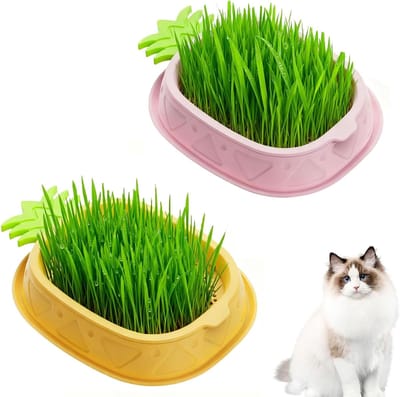 Set van 2 Kattengras Potten voor het Kweken van Kattengras, Zaai Bakjes en Groeibakken voor Binnenkatten, Ideaal voor Gezonde Kattenvoeding