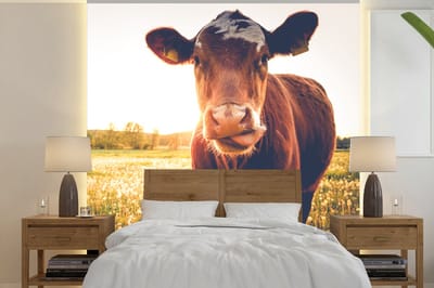 Behang - Fotobehang Koe - Zonsondergang - Bloemen - Gras - Dieren - Breedte 350 cm x hoogte 350 cm