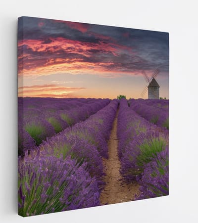 Saammp Canvas Schilderij - Lavendel met mooie lucht en een molen - Natuur - Landschap - 20x20 - Foto op canvas - Wanddecoratie - Muurdecoratie Woonkamer - Slaapkamer decoratie - Canvas Print