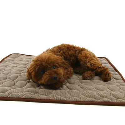 Tapis rafraîchissant d'été pour animaux de compagnie, tapis rafraîchissant en soie glacée pour chiens et chats, pour la maison, la voiture, le canapé, les coussins XS:40*30CM
