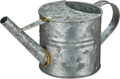 Gietertje 1.3 liter voor kamerplanten - Decoratie gieter voor bloemen - Vintage verzinkt metaal zilver - Water geven bloempot - Tuin benodigdheden