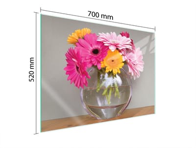 TMK ArtDeko - Glazen Beschermplaat - 70x52 cm - Koken - Snijden
