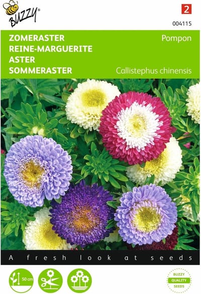2 stuks Callistephus, Zomeraster Pompon gemengd
