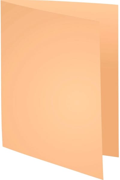 Exacompta 5x SUPER 160 - Pak van 100 dossiermappen 160g/m2- 24x32 cm voor A4. - Gems - 340002E