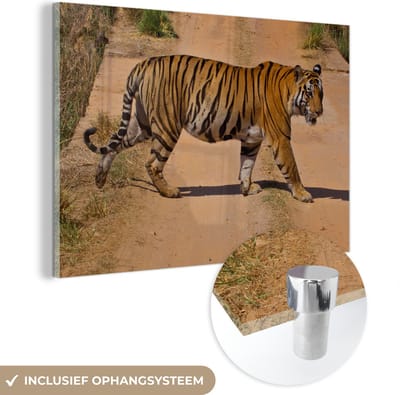 MuchoWow® Glasschilderij 60x40 cm - Schilderij acrylglas - Tijger - Weg - Lopen - Foto op glas - Schilderijen