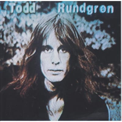 CD TODD RUNDGREN  Hermit of Mink Hollow  R270871 Bearsville VS Rock Gebruikt gray