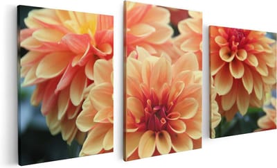 Artaza Canvas Schilderij Drieluik Oranje Dahlia Bloemen  - 120x60 - Foto Op Canvas - Canvas Print