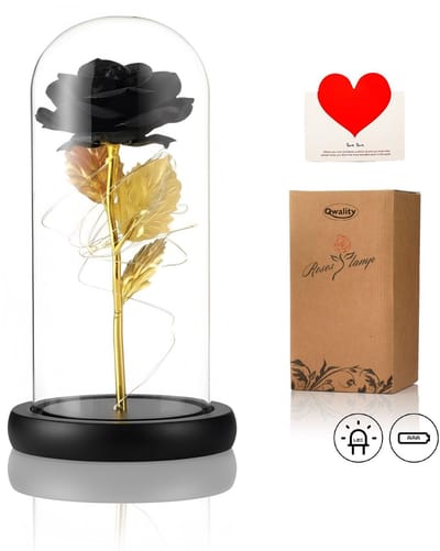 Qwality® Luxe Roos in Glas met LED – Zwarte Roos in Glazen Stolp - Moederdag - Valentijn - Bekend van Beauty and the Beast - Cadeau voor vriendin moeder haar - Zwarte Voet